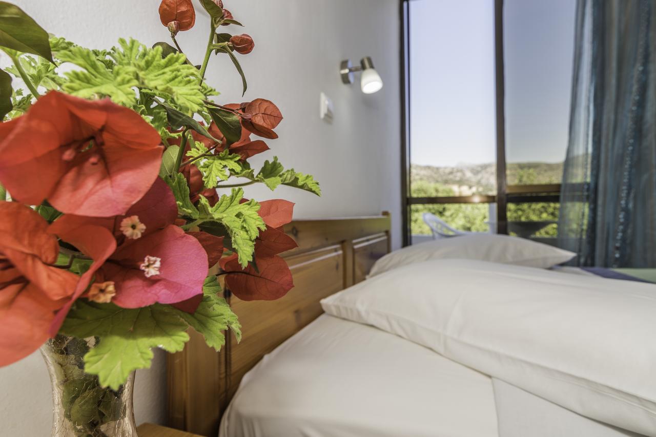 Appartement Oriental Bay